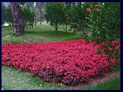 Flower arrangements in Zhujiang New Town.